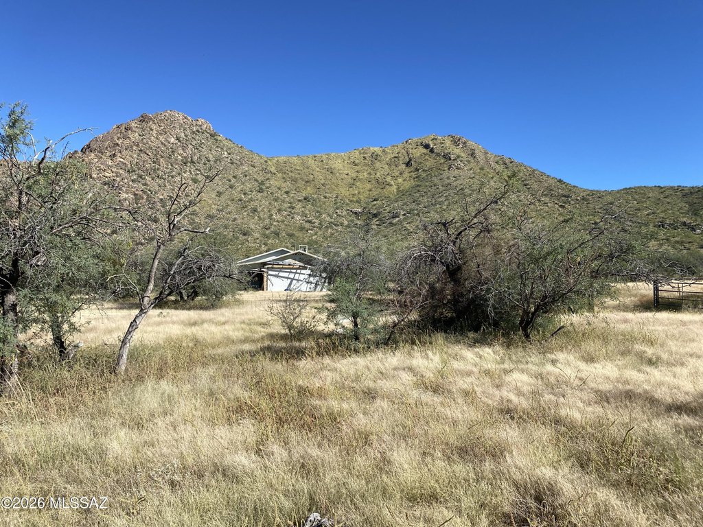 Picture 23