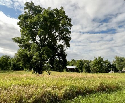 LAND - Ithaca, NY