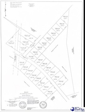 Residential Lot in Latta, SC