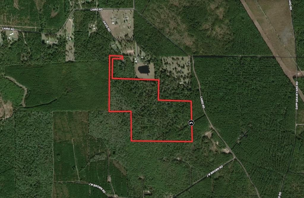 Secluded Wooded Land in Kountze