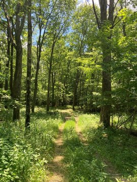 Lots/Land, Confluence, PA