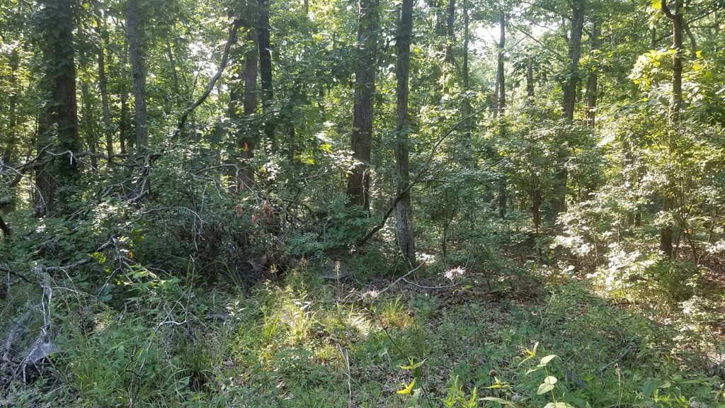 Picture 12