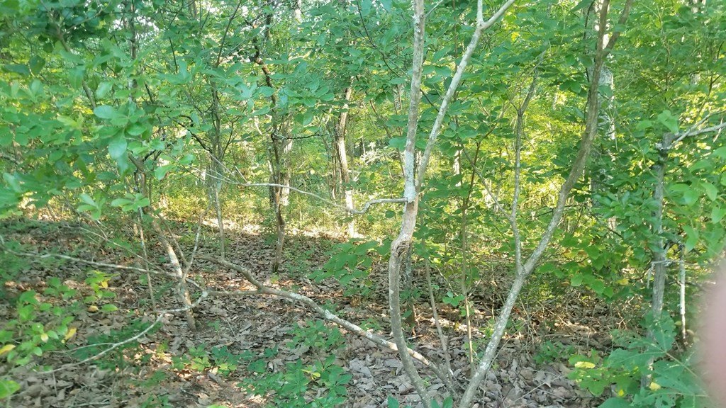 Picture 13