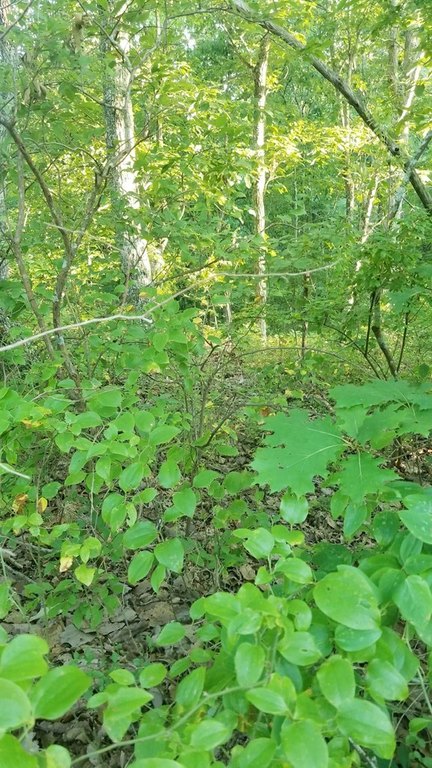 Picture 14