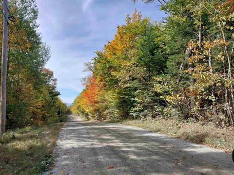 Wooded Recreational Land Parcel