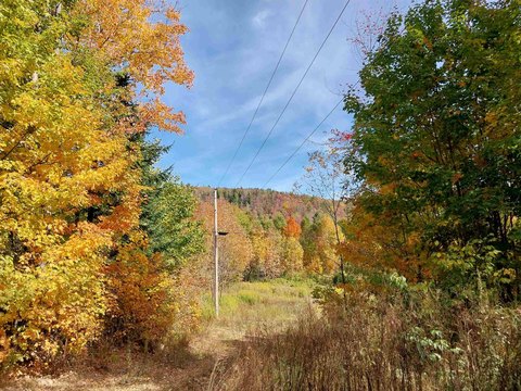 Wooded Hunting Land