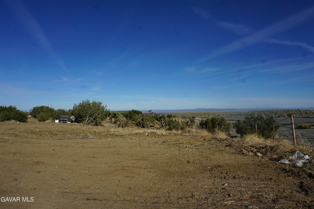 Picture 4