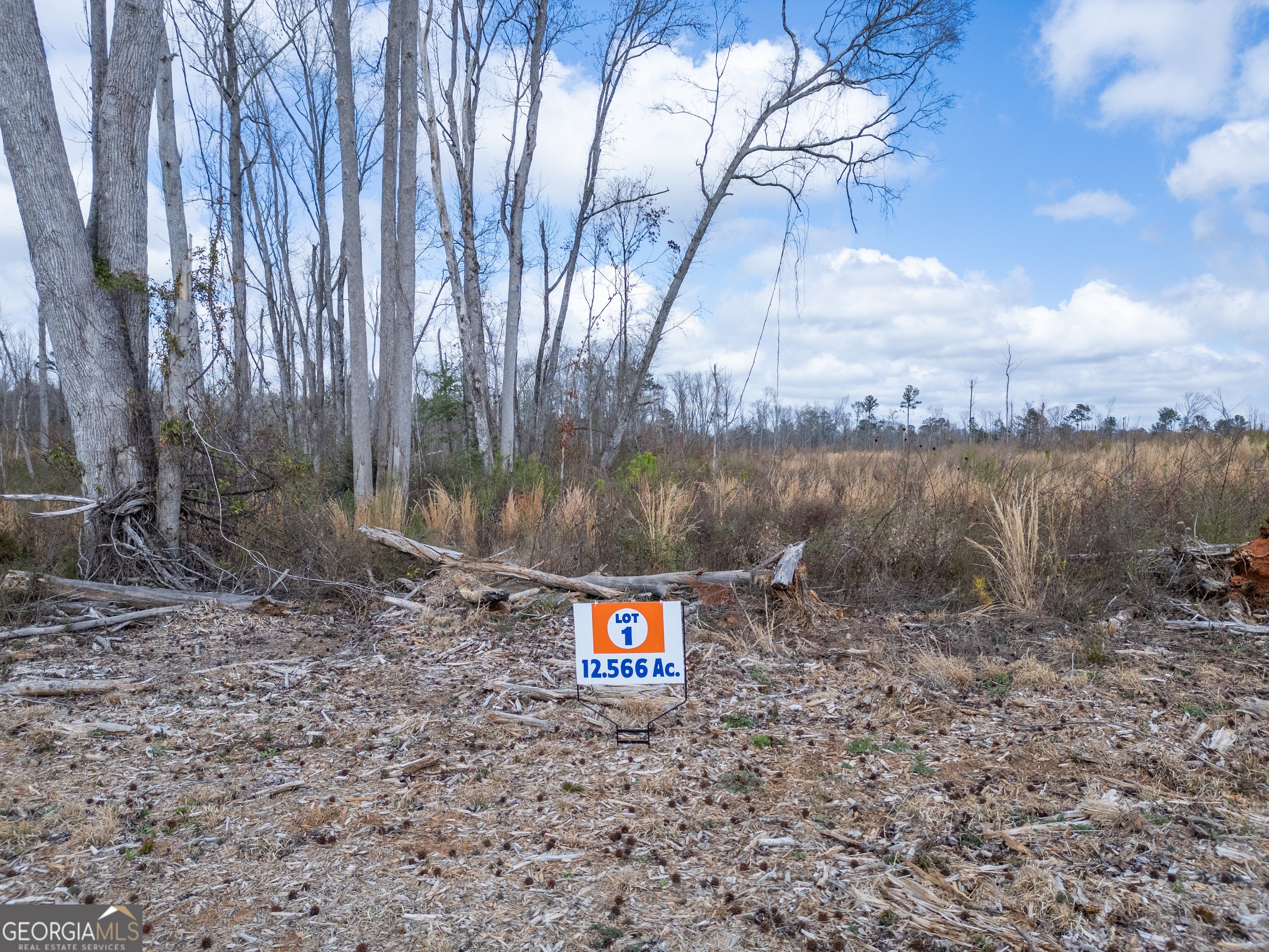 Residential Land Near Jackson Lake