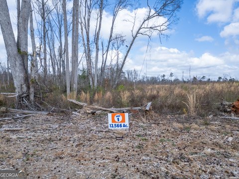Residential Land Near Jackson Lake