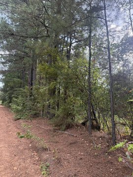 Vacant Land, Columbus, AR