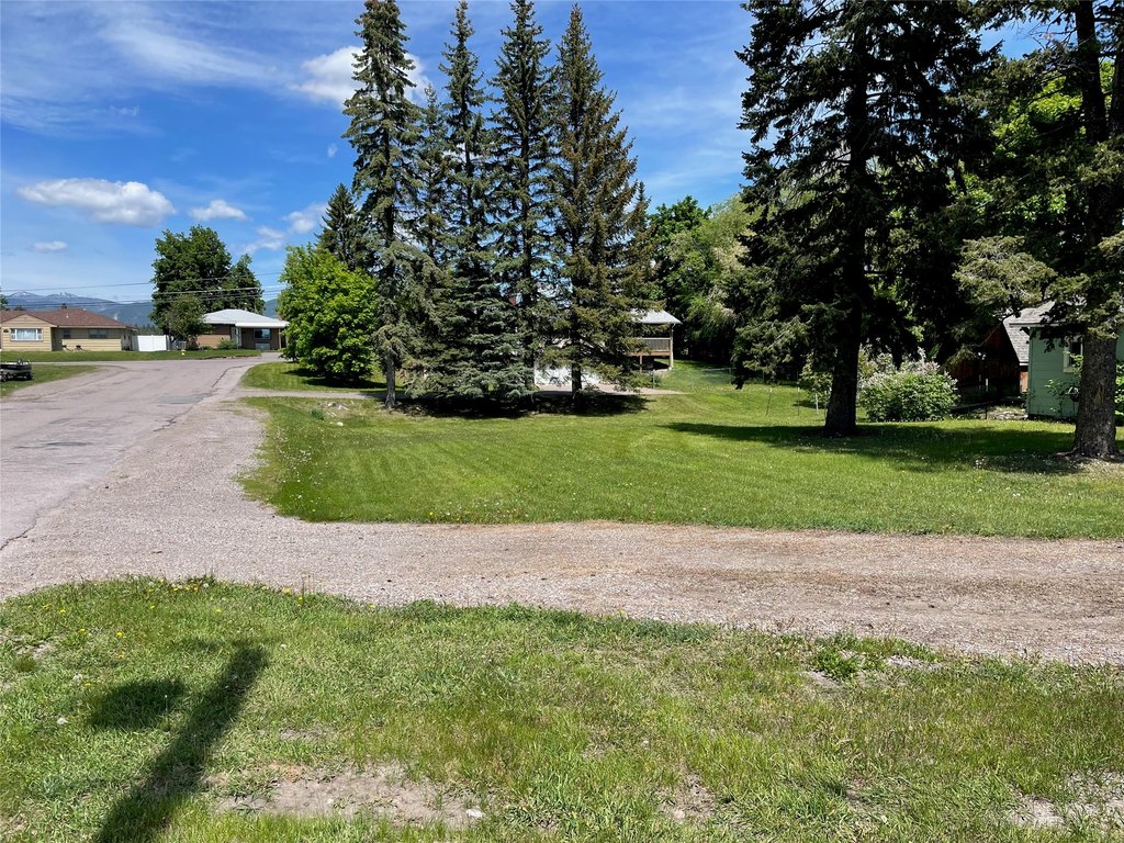 Picture 14