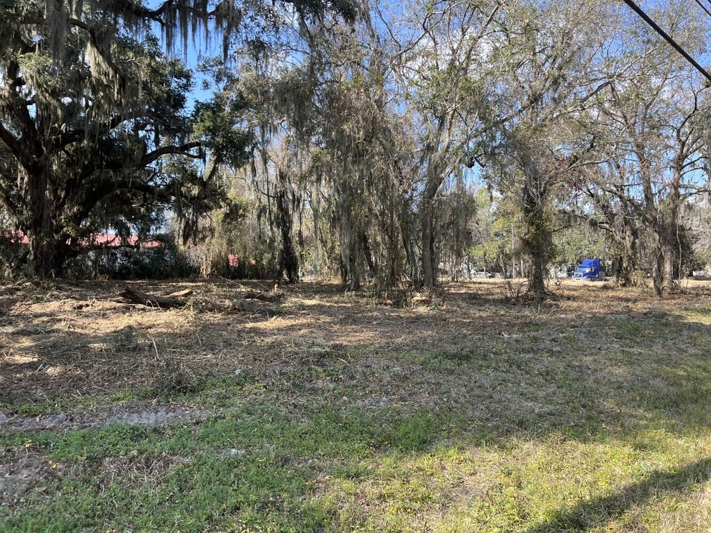 Picture 21