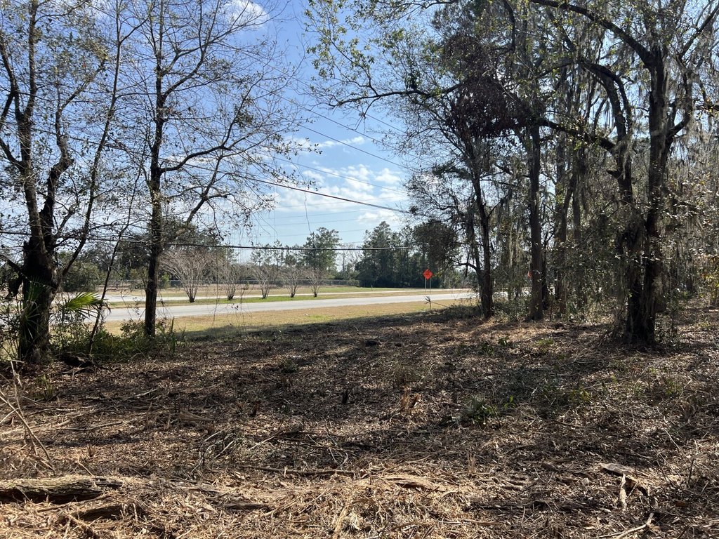 Picture 25