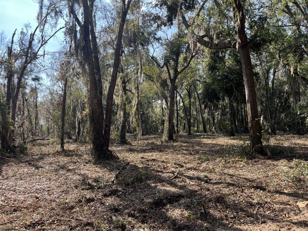 Picture 26