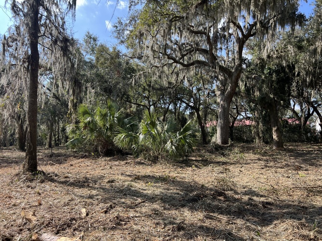Picture 23