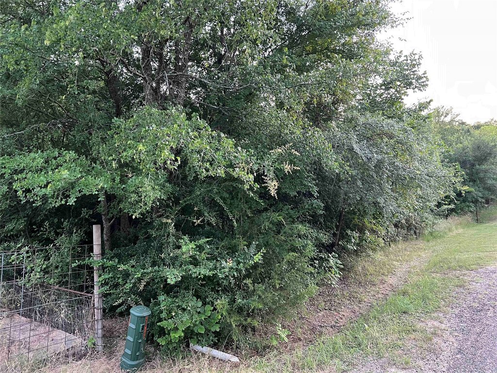 Picture 6