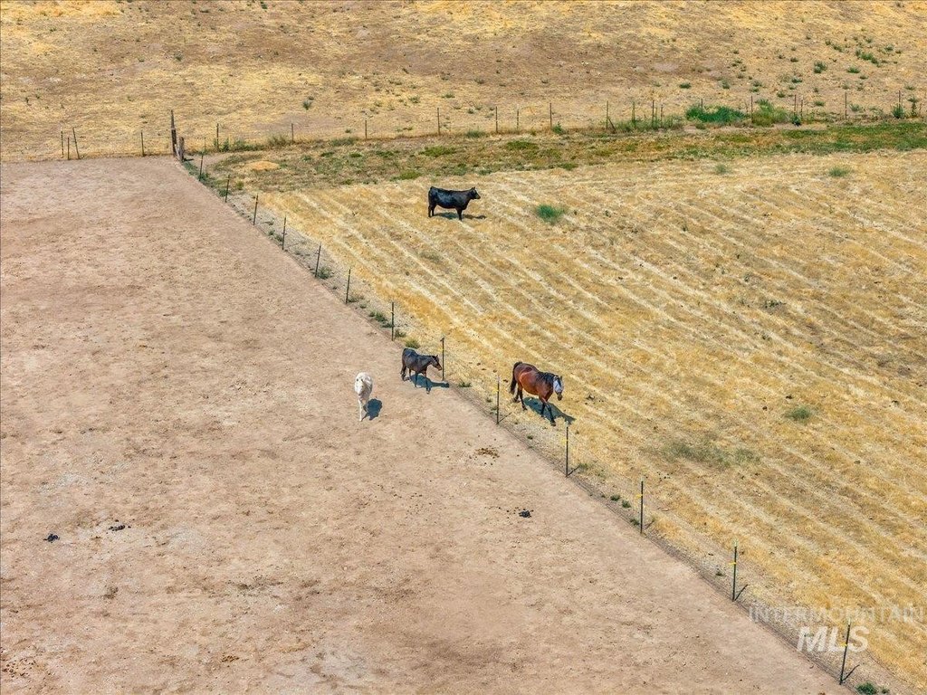 Picture 27