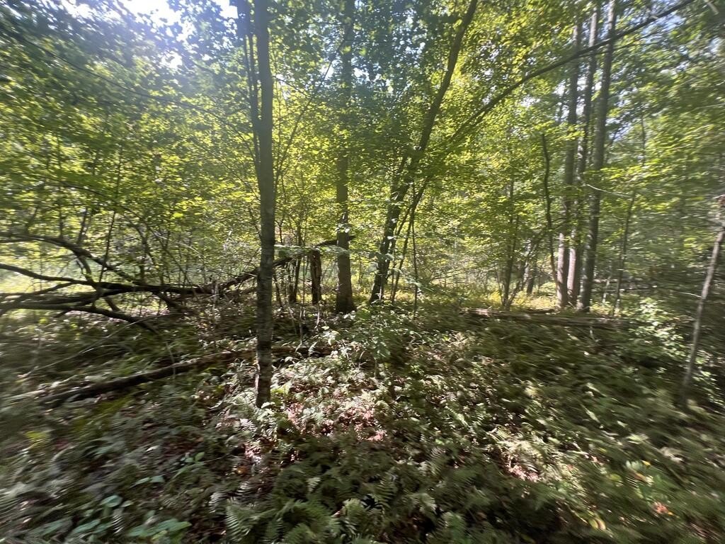Picture 10
