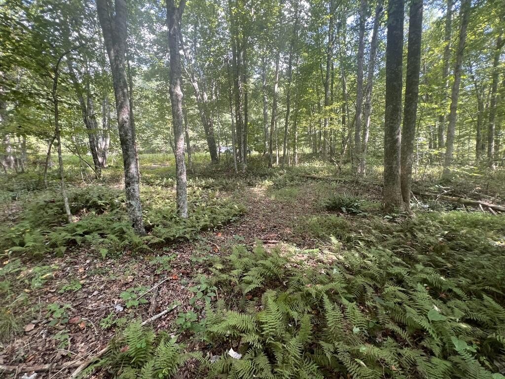 Picture 13