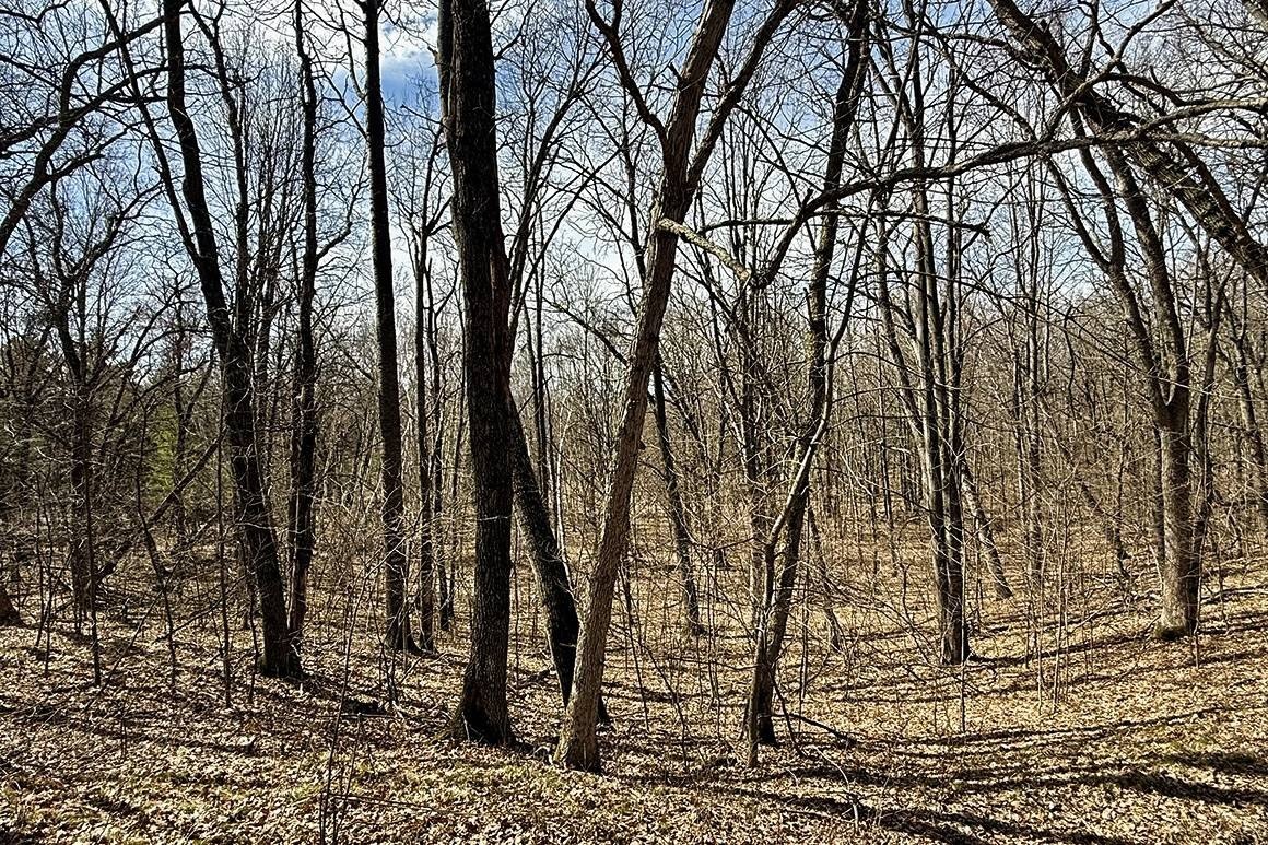 Chetek, WI Vacant Land Parcel