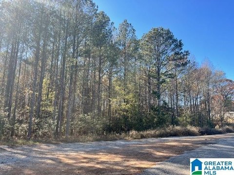 Unrestricted Wooded Acreage in Talladega