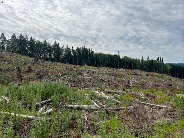 Recreational Land Bordering State Forest