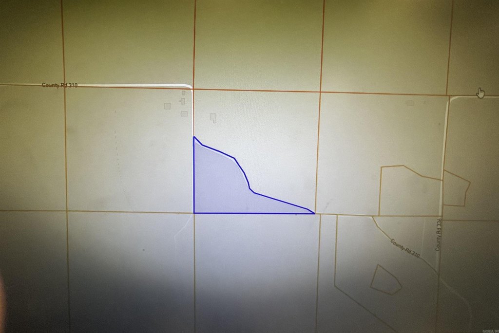 Picture 4