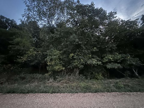 Vacant Land, Piggott, AR