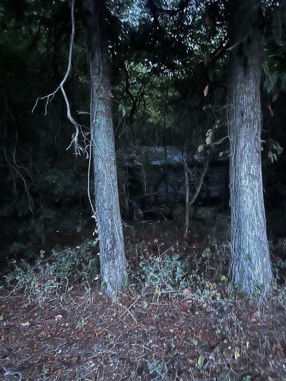 Picture 2