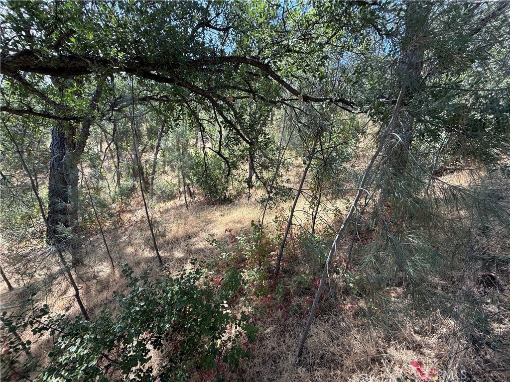 Picture 4