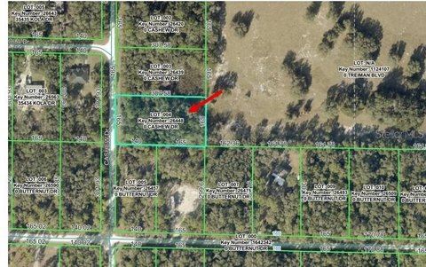 Residential Lot in Hernando County