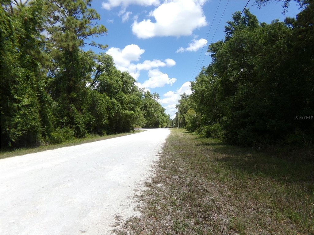 Picture 5