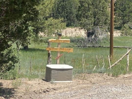 Picture 16