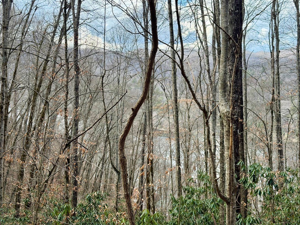 Picture 5