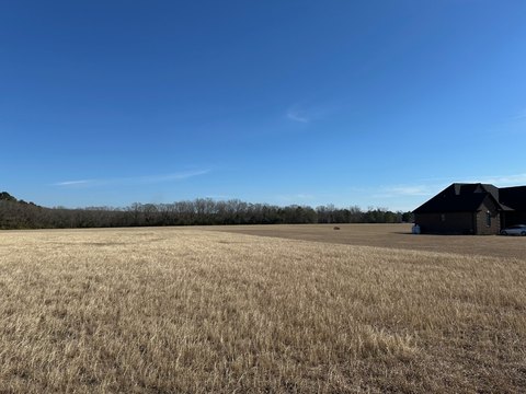 Cleared Residential Land in Red Springs