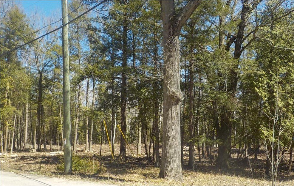 Picture 3