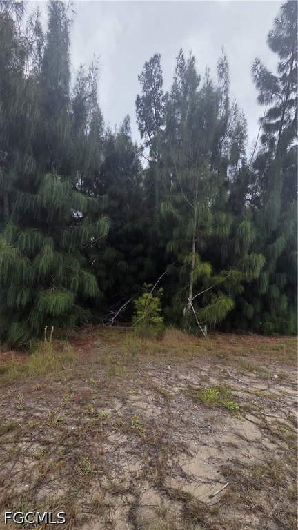 Picture 2
