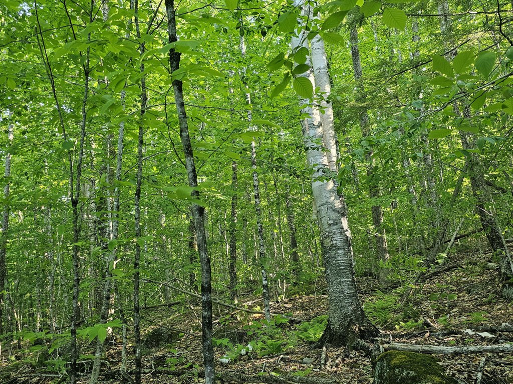 Picture 4