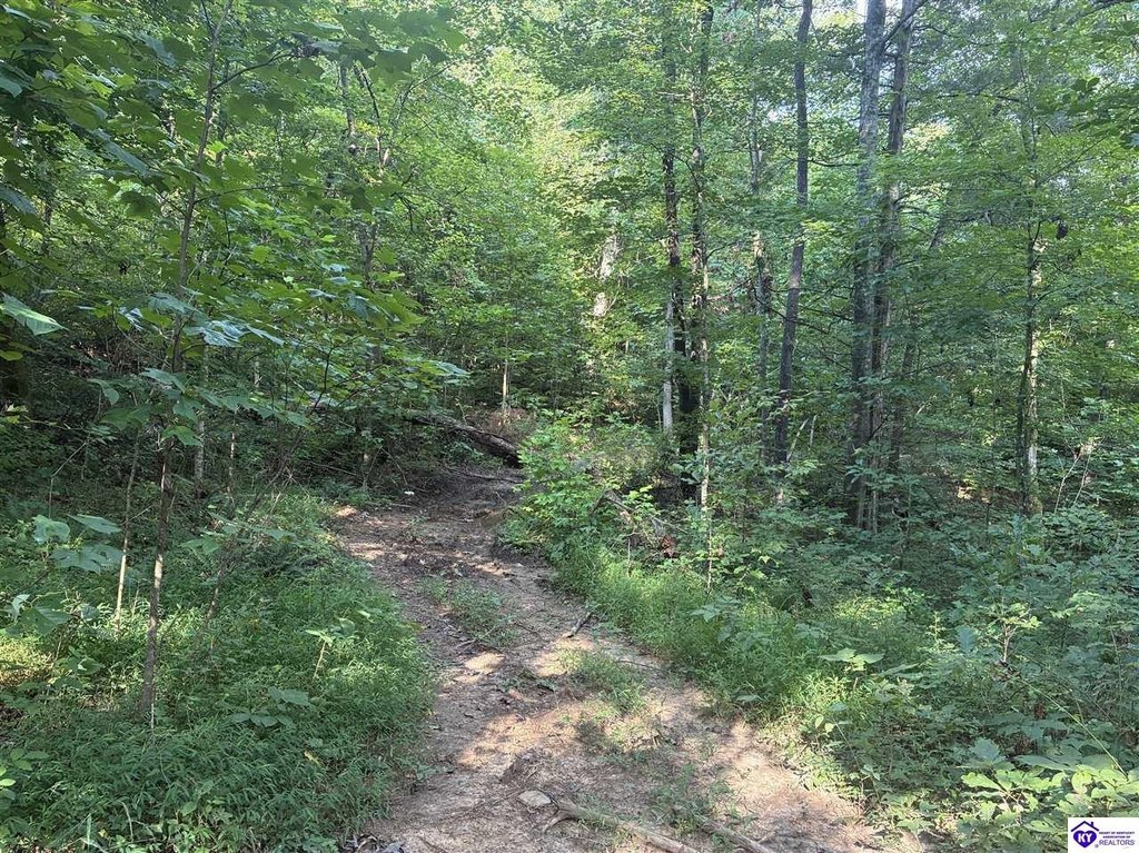 Picture 14