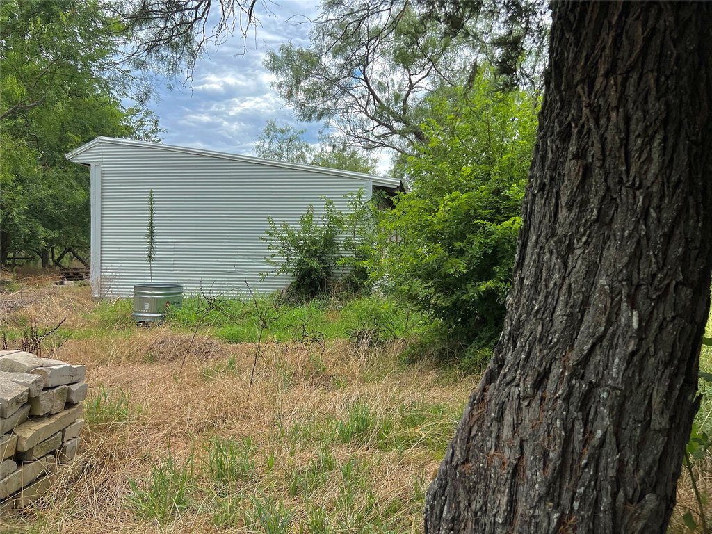 Picture 19
