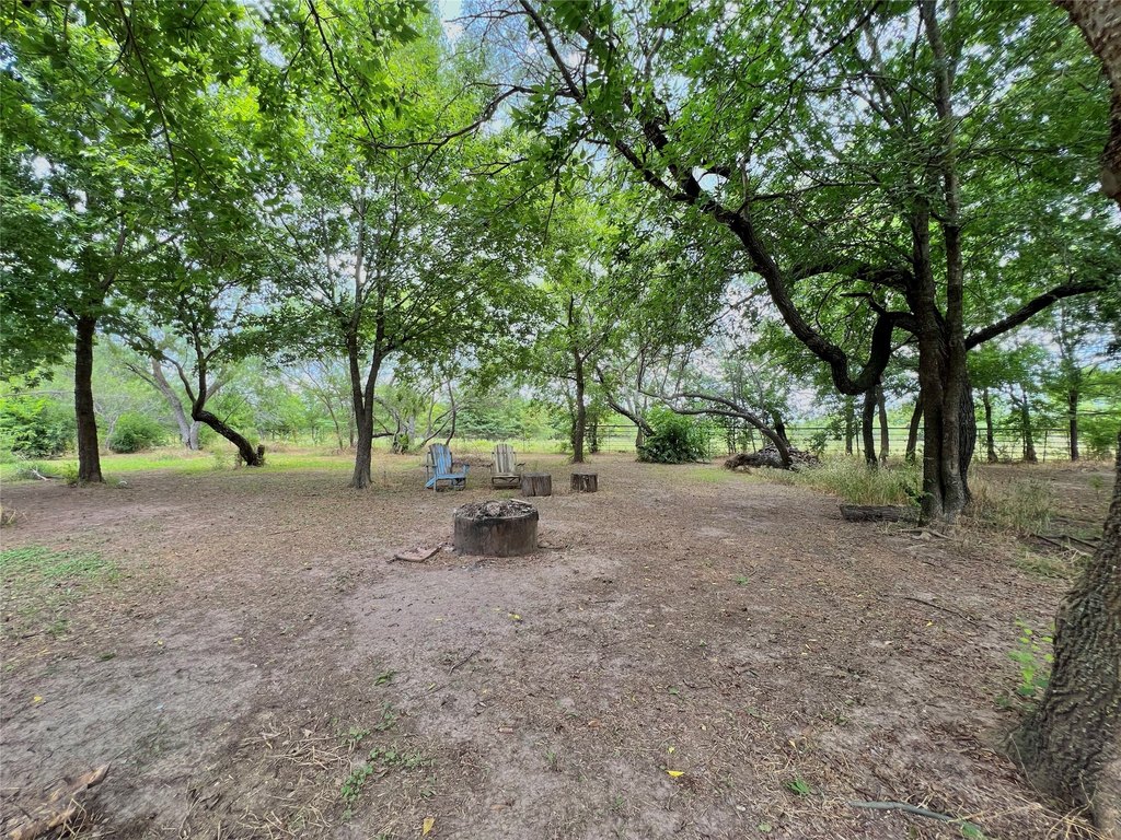 Picture 26