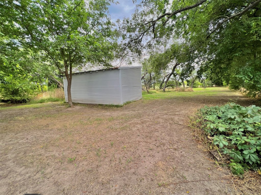 Picture 14