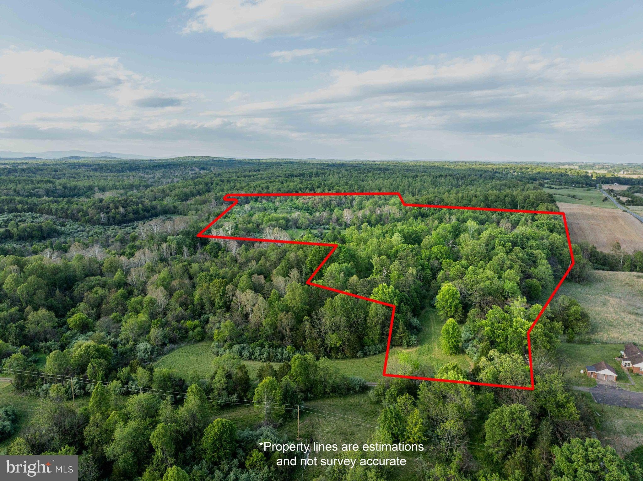 Secluded 64-Acre Hunting Land