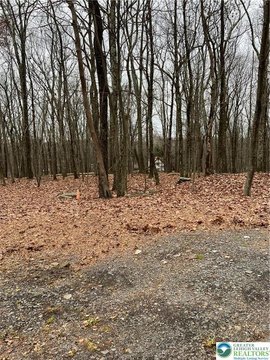 LAND - Lehman Twp, PA