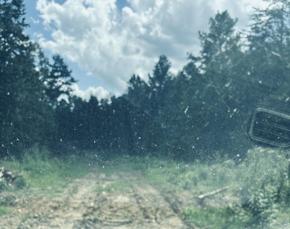 Picture 34