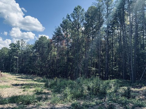 Tennessee Mountain Living Land