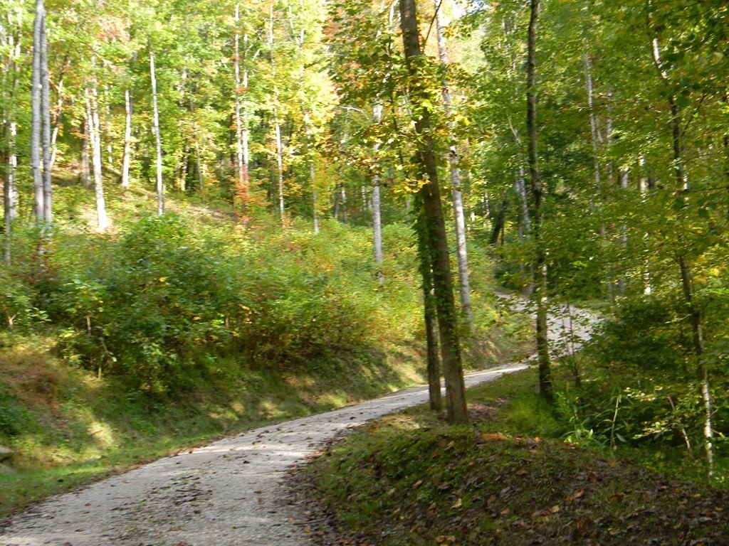 Picture 4