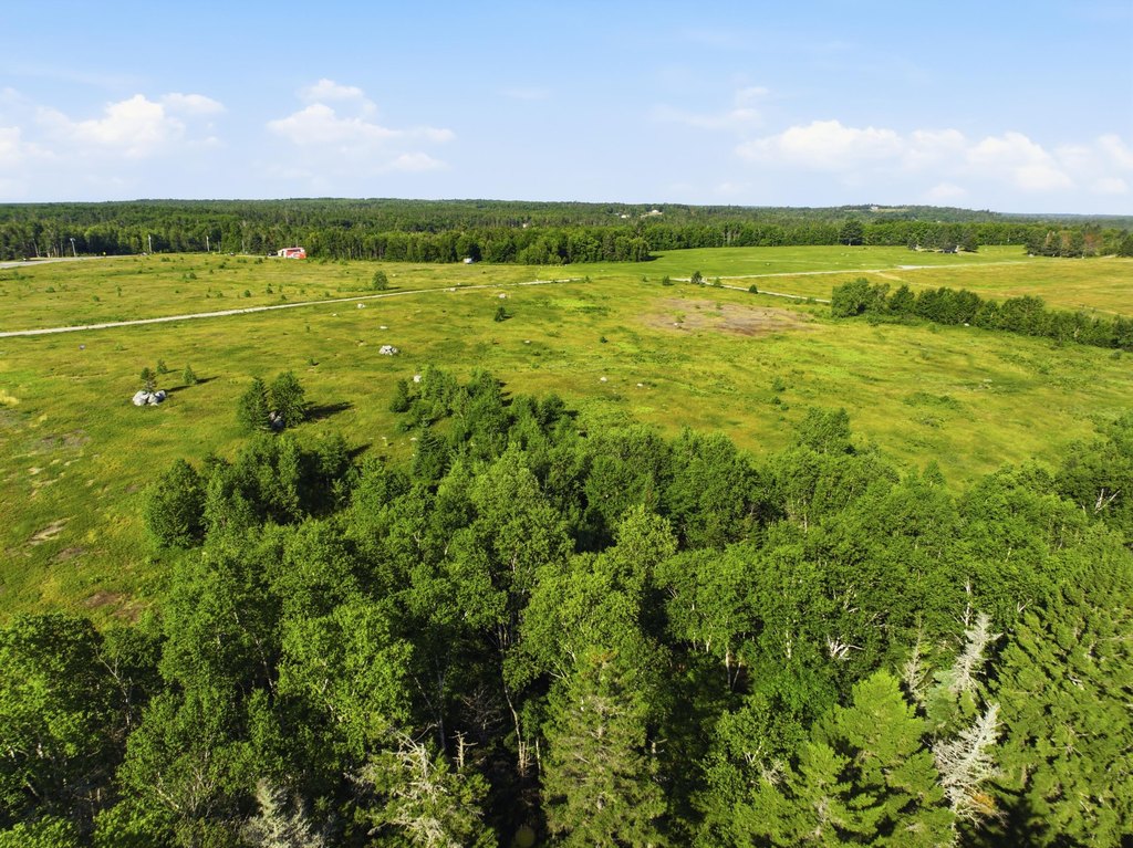 Picture 13