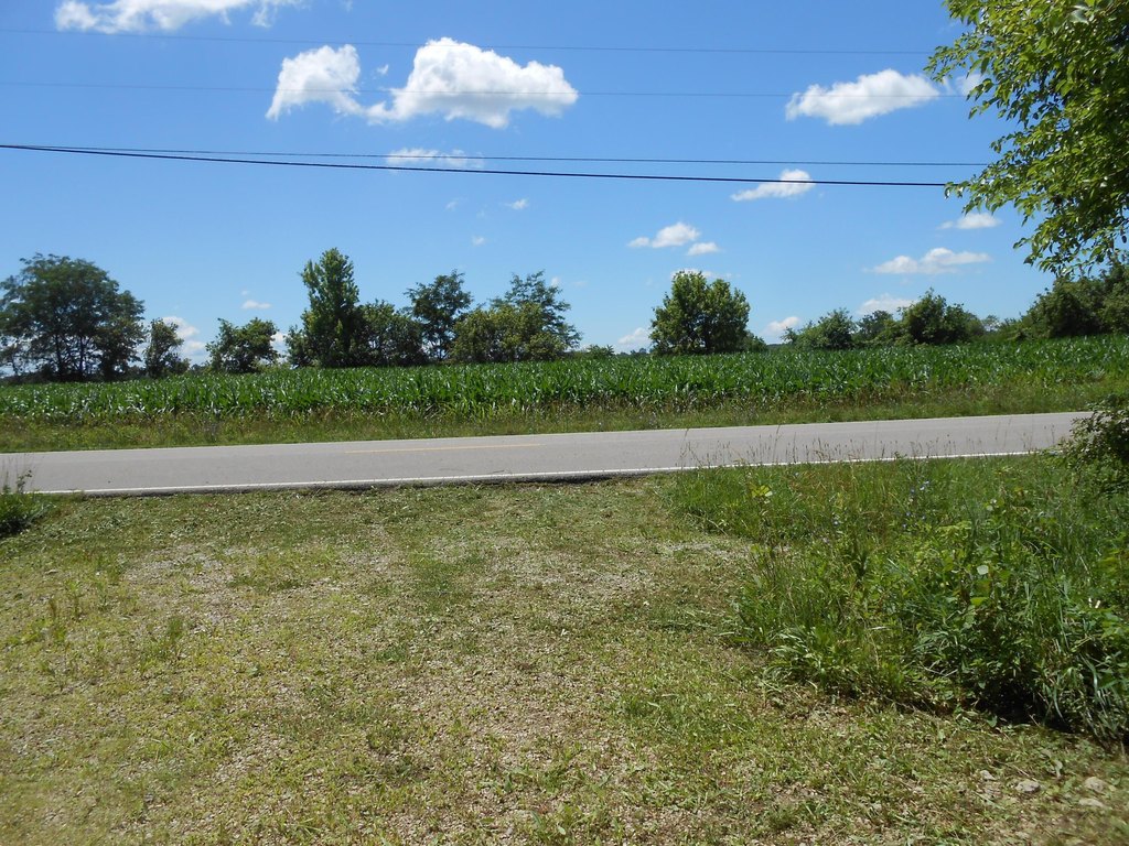 Picture 6