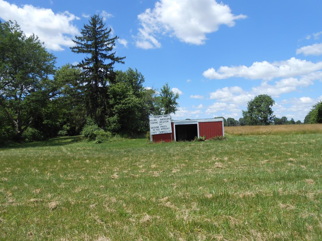 Picture 8